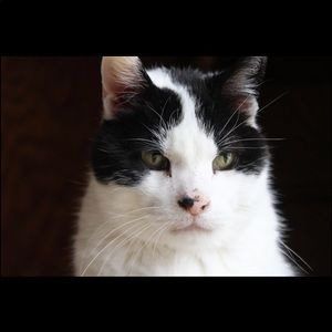 Meet your Posher, Keilly